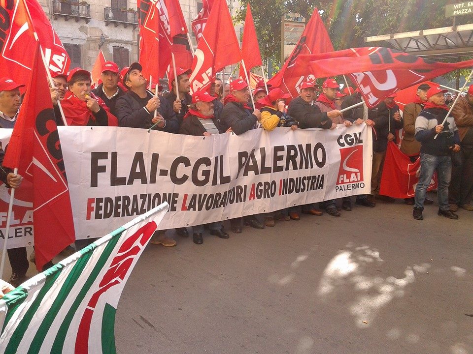 Forestali: Sicilia, sindacati sospendono manifestazione del 24 febbraio. “Avviato il percorso per il contratto integrativo, per il riordino del settore e garantiti i diritti dell’ultimo contratto”.